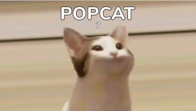 POPCAT